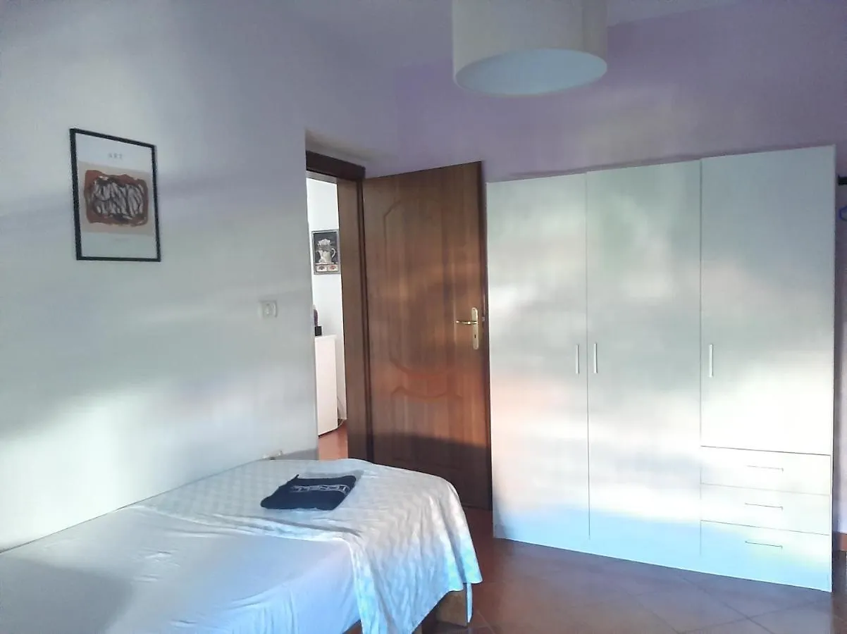 Daily Rent Apartment Tirana Albania