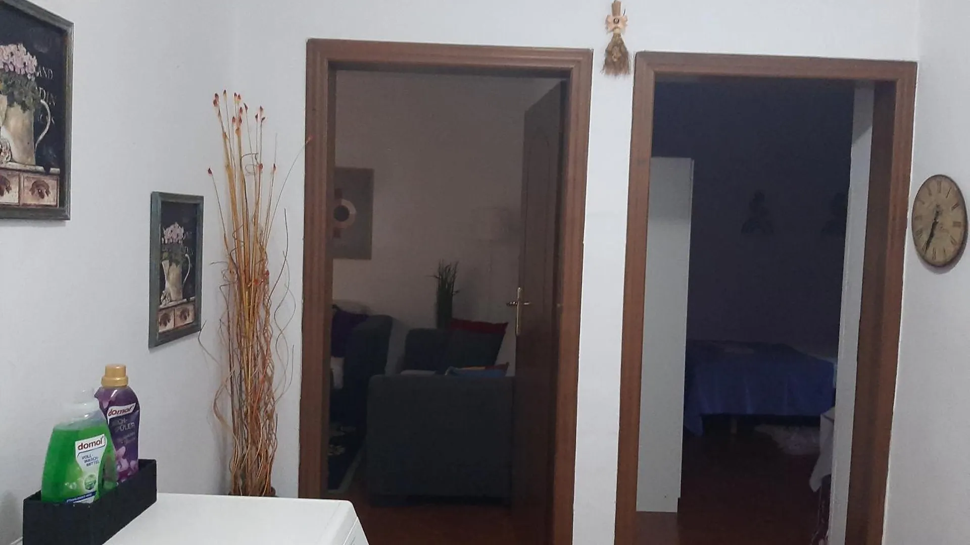 Daily Rent Apartment Tirana